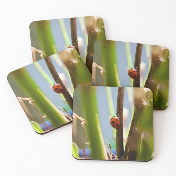 Item preview, Mariquita designed and sold by wesneves.