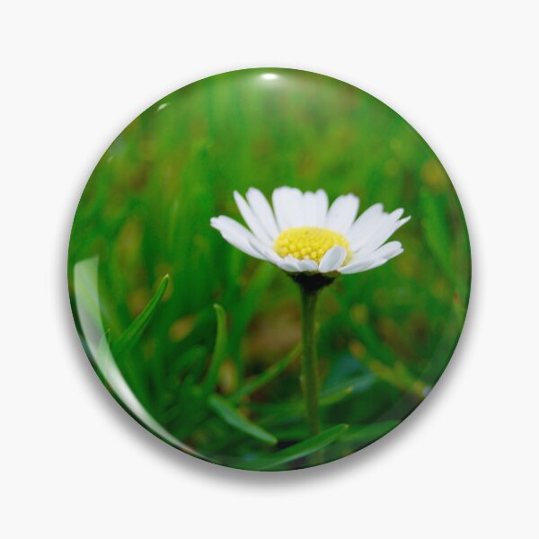 Item preview, Singular Daisy  designed and sold by wesneves.