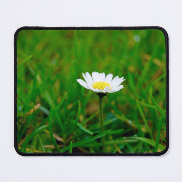 Item preview, Singular Daisy  designed and sold by wesneves.
