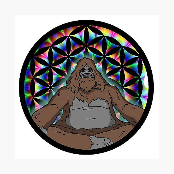 pp,504x498-pad,600x600,f8f8f8.webp