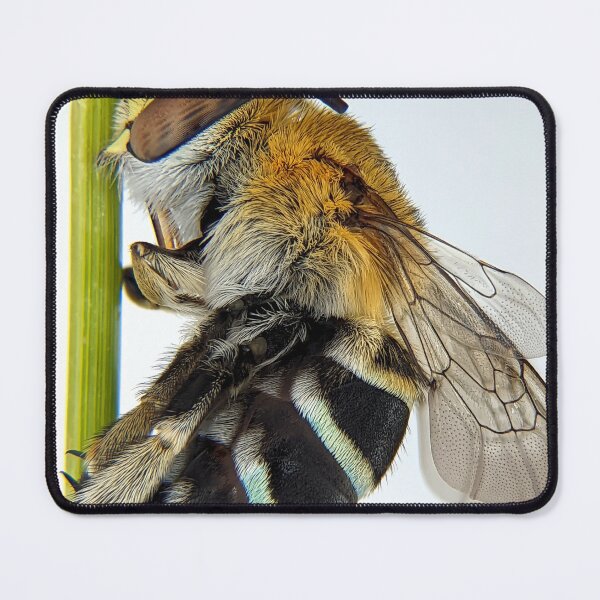 Item preview, Blue Banded Bee designed and sold by BotanyByYen.