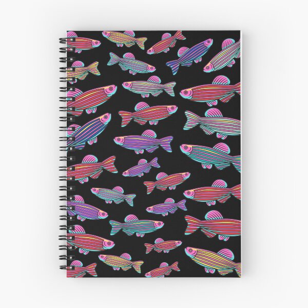 Item preview, Rainbow Zebrafish designed and sold by aussieexplore.