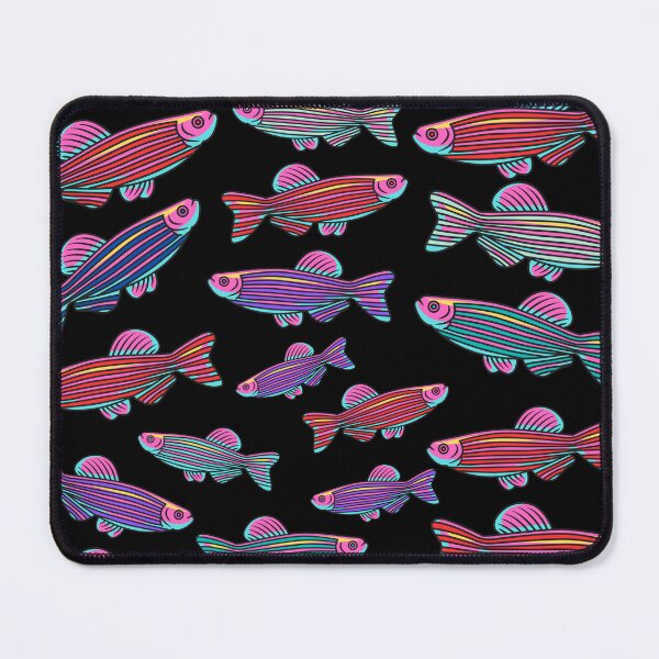 Item preview, Rainbow Zebrafish designed and sold by aussieexplore.