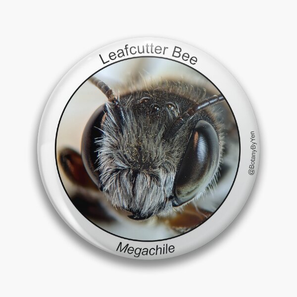 Item preview, Megachile Sticker/Pin designed and sold by BotanyByYen.