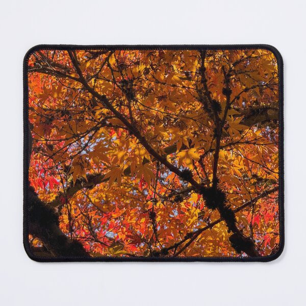 Item preview, Autumn Japanese Maple Leaves designed and sold by ellalahuebrown.