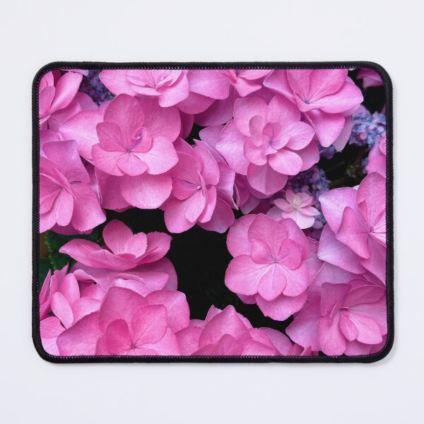 Item preview, Pink hydrangea Japanese ajisai designed and sold by EN-sunflower.