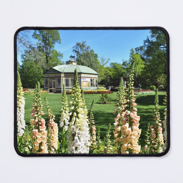 Item preview, Ballarat Botanical Gardens in Spring designed and sold by Yolanda Caporn Art.