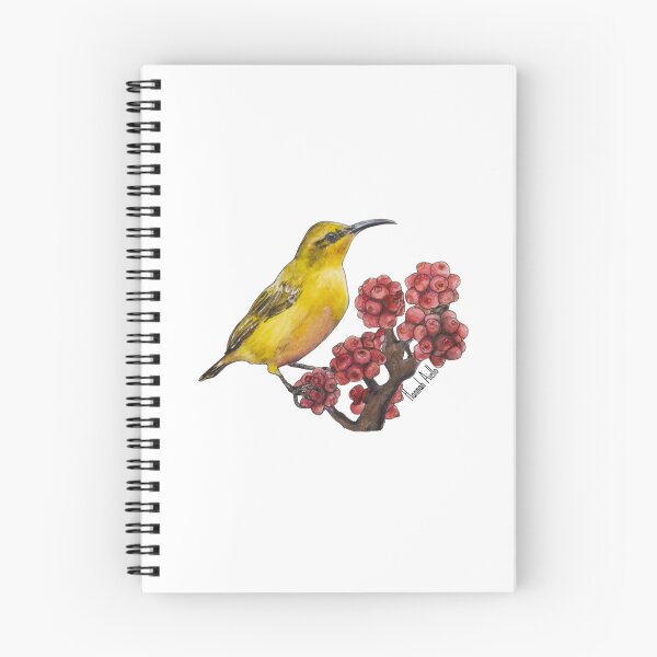 Item preview, Olive-backed Sunbird, Magnetic Island designed and sold by hannahaiello.