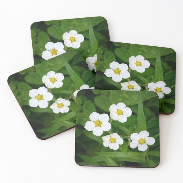 Item preview, Hautbois Strawberry designed and sold by Jouko Lehto Photography.