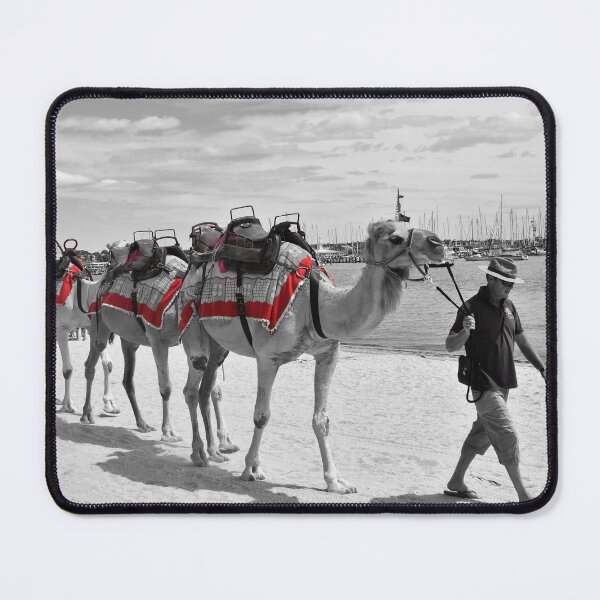 Item preview, Geelong Camel Walk designed and sold by Yolanda Caporn Art.