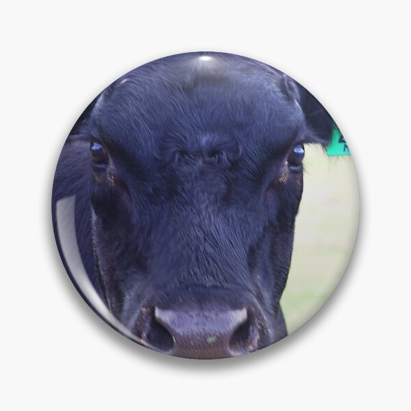 Item preview, Black Angus The Look designed and sold by Joy Watson - Natural Light Photography .