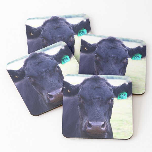 Item preview, Black Angus The Look designed and sold by Joy Watson - Natural Light Photography .