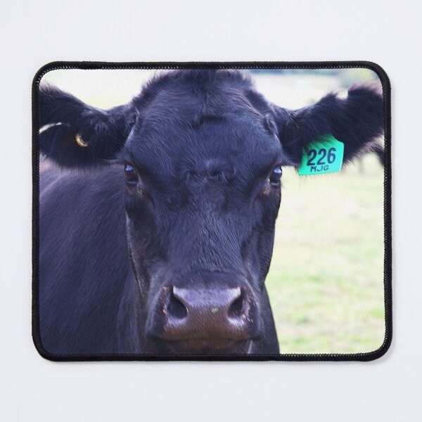 Item preview, Black Angus The Look designed and sold by Joy Watson - Natural Light Photography .