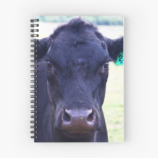 Item preview, Black Angus The Look designed and sold by Joy Watson - Natural Light Photography .