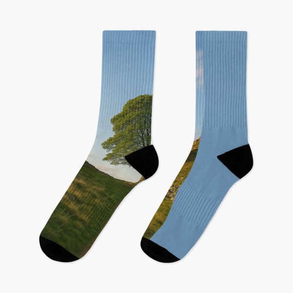 Item preview, Sycamore Gap designed and sold by TheWonkyEaselCo.