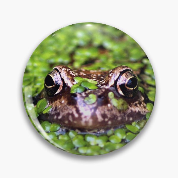 Item preview, Frog in a Pond designed and sold by Murph's Images.