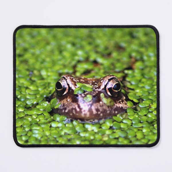Item preview, Frog in a Pond designed and sold by Murph's Images.