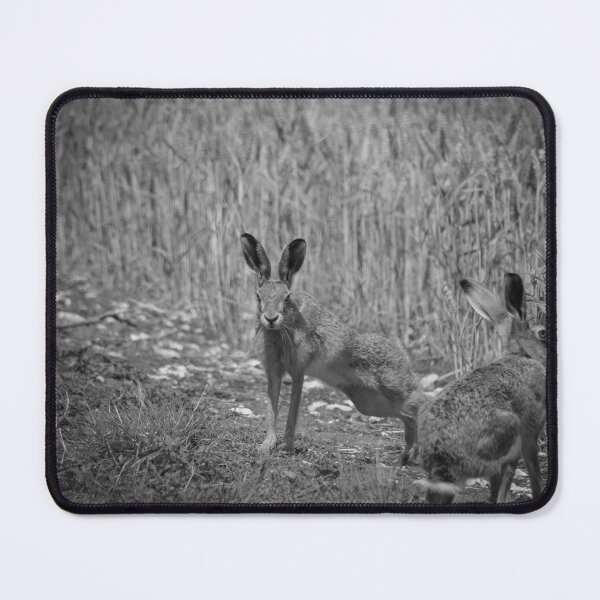 Item preview, Biiiig stretch designed and sold by Wildlifespotter.