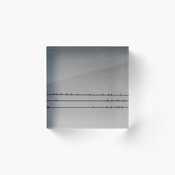 Item preview, Minimalist Birds on Wire – Black and White Photography designed and sold by vice-k.