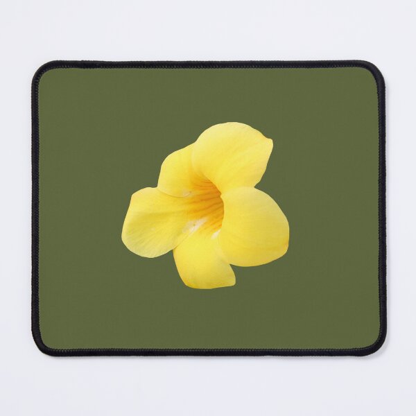 Item preview, beautiful yellow flower of Allamanda cathartica are golden trumpet, trumpetvine, yellow allamanda, vibrant yellow flower. designed and sold by MiMee4451.