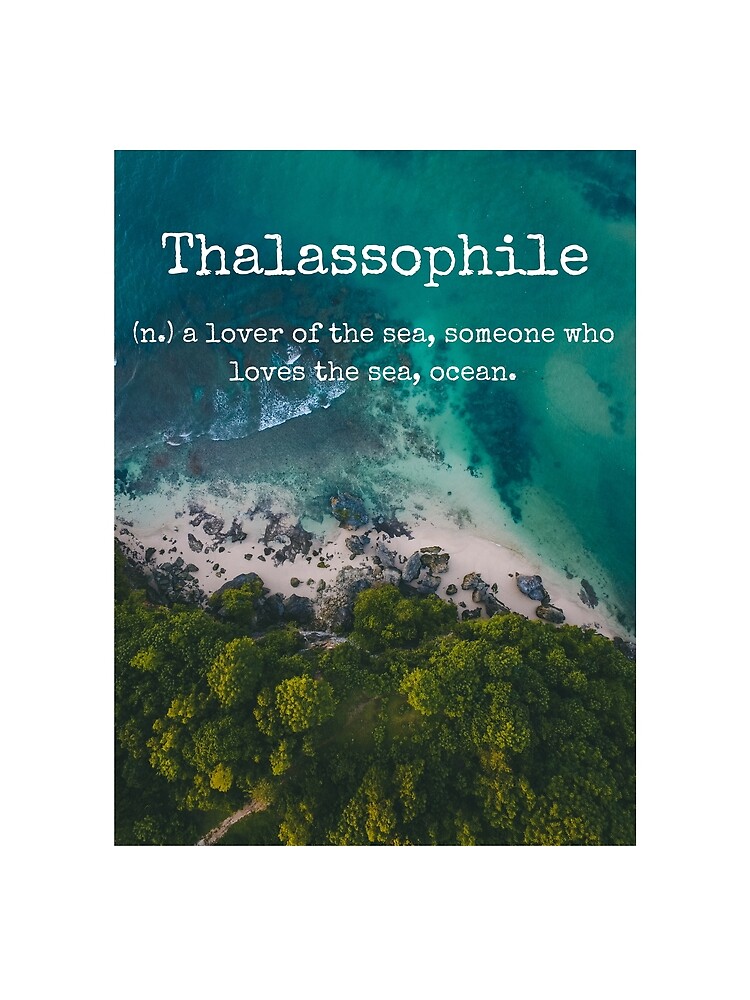 Beach Themed Thalassophile Products For the Beach Lover Inside You by BeachLove99