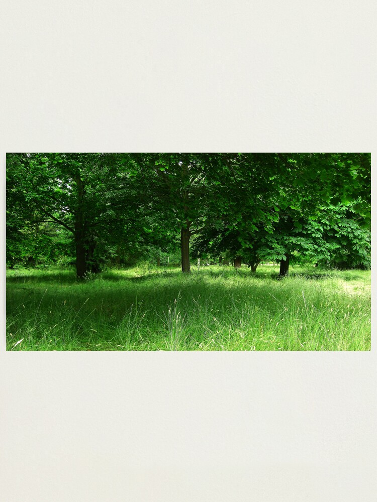 Alternate view of Dream of Green Photographic Print