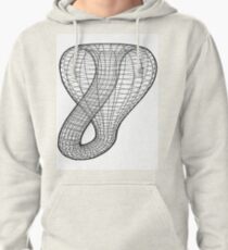 A two-dimensional representation of the Klein bottle immersed in three-dimensional space, #TwoDimensional, #representation, #KleinBottle, #immersed, #ThreeDimensional, #space Pullover Hoodie
