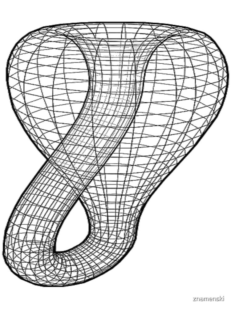 A two-dimensional representation of the Klein bottle immersed in three-dimensional space, #TwoDimensional, #representation, #KleinBottle, #immersed, #ThreeDimensional, #space by znamenski