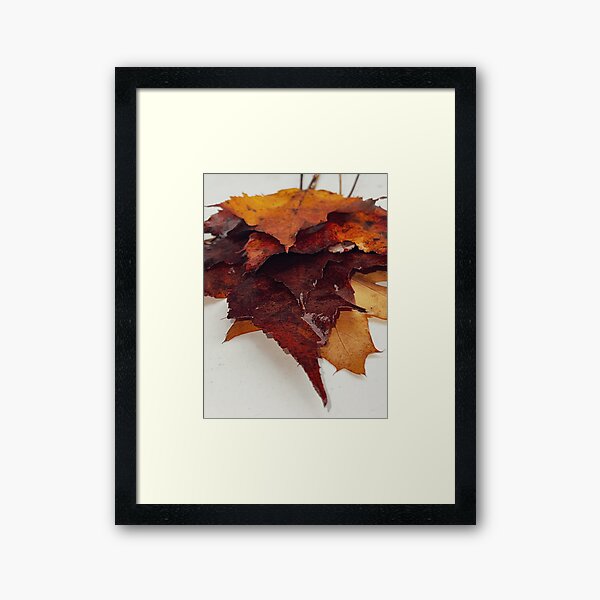 Item preview, Fallen, Fall leaves. designed and sold by IMAGE IMPRINT STUDIO.