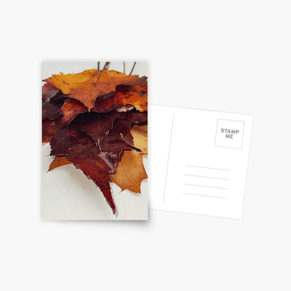 Item preview, Postcard designed and sold by WindowofArt.