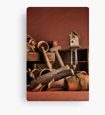 Garden Shed Canvas Print