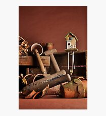 Garden Shed Photographic Print