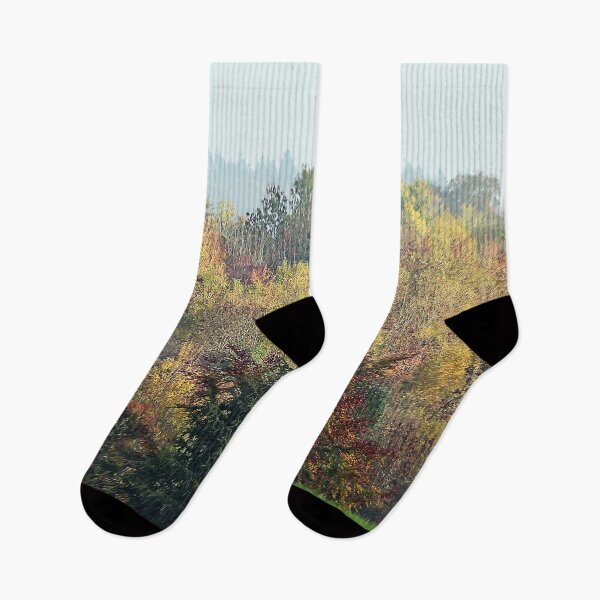 Item preview, Autumn at Centenary Wood designed and sold by Murph's Images.