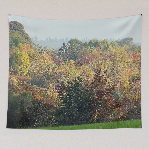Item preview, Autumn at Centenary Wood designed and sold by Murph's Images.