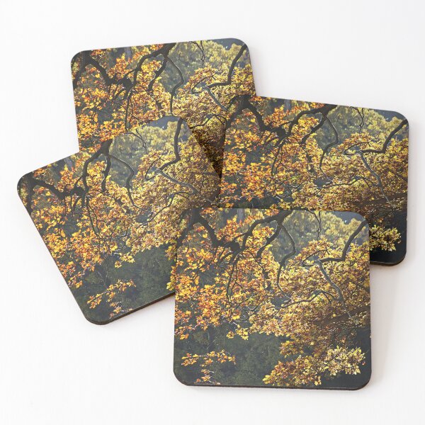 Item preview, Autumn Leaves designed and sold by Murph's Images.