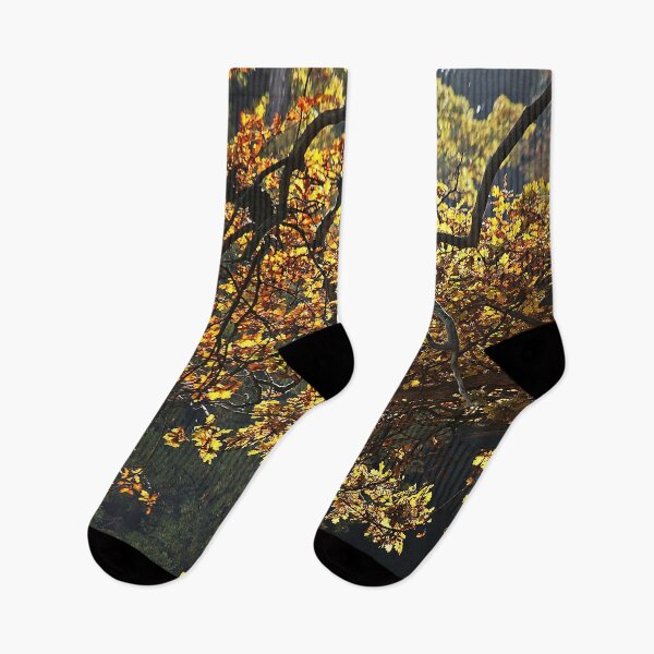 Item preview, Autumn Leaves designed and sold by Murph's Images.