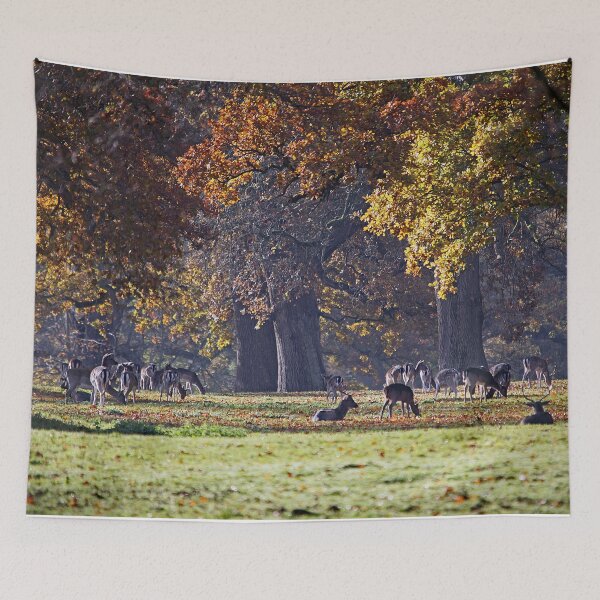 Item preview, Deer Park designed and sold by Murph's Images.