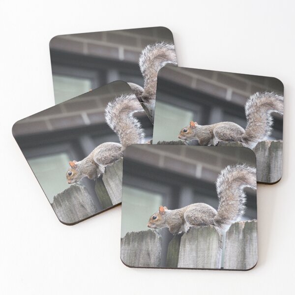Item preview, Squirrel On Wooden Fence designed and sold by Cynthia48.