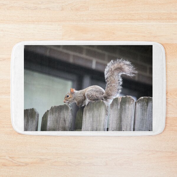 Item preview, Squirrel On Wooden Fence designed and sold by Cynthia48.