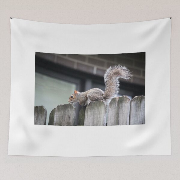 Item preview, Squirrel On Wooden Fence designed and sold by Cynthia48.
