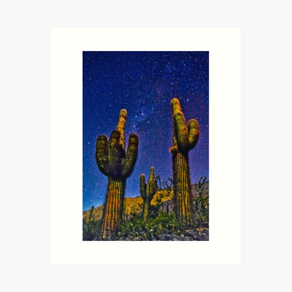 Cactus dans la nuit Impression artistique