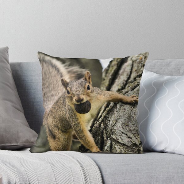 Item preview, The Playful Squirrel designed and sold by Brian Gaynor.