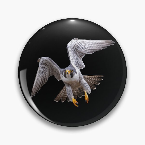 Item preview, Falcon Peregrine flying designed and sold by YoshiArtDesign.