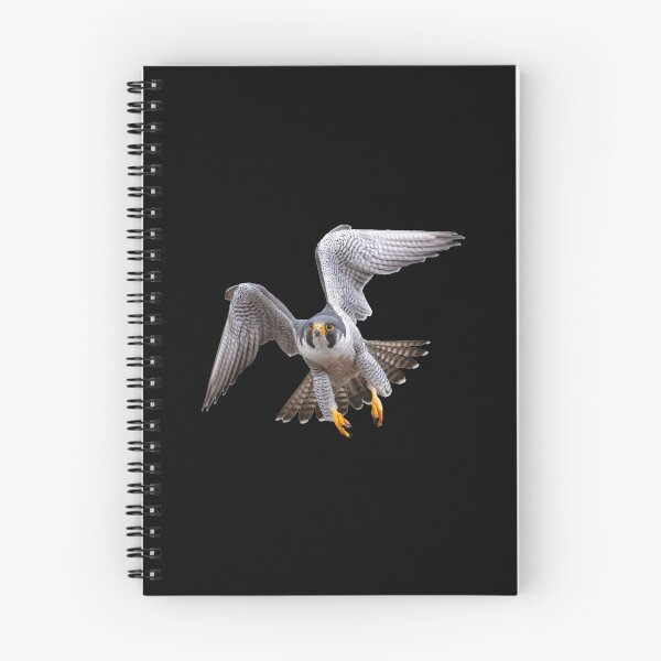 Item preview, Falcon Peregrine flying designed and sold by YoshiArtDesign.