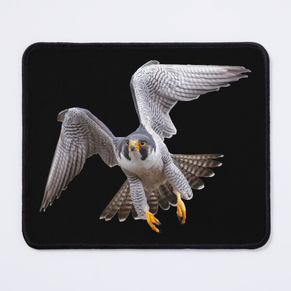Item preview, Falcon Peregrine flying designed and sold by YoshiArtDesign.