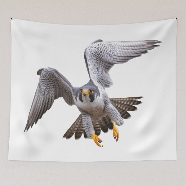 Item preview, Falcon Peregrine flying designed and sold by YoshiArtDesign.