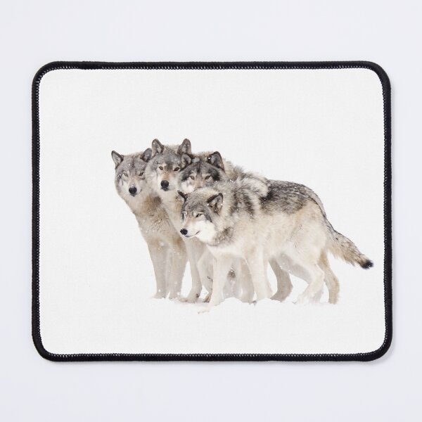 Item preview, The Pack - Timber wolves designed and sold by James Cumming.