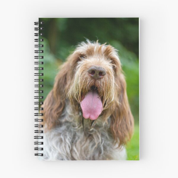 Item preview, Cute Brown Roan Spinone Panting by heidiannemorris © designed and sold by FOLK ART FUSION by heidiannemorris.