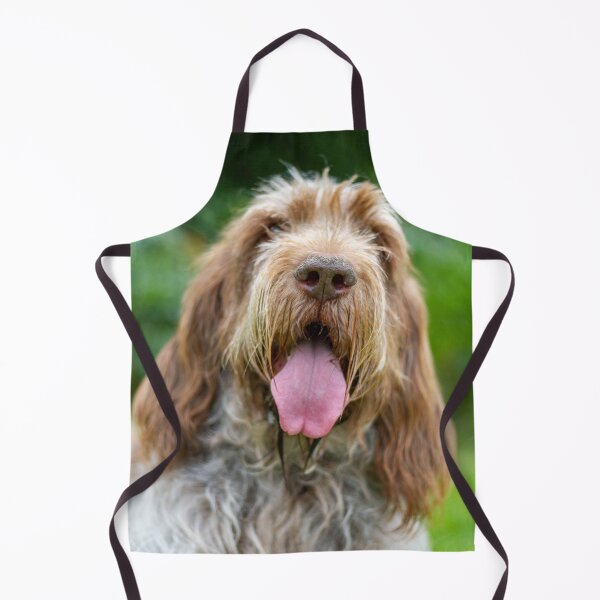 Item preview, Cute Brown Roan Spinone Panting by heidiannemorris © designed and sold by FOLK ART FUSION by heidiannemorris.