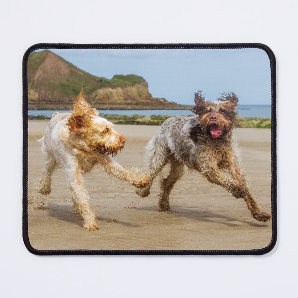 Item preview, Playful Spinone Italiano Dogs at the Beach – Joyful Energy and Coastal Freedom by heidiannemorris © designed and sold by FOLK ART FUSION by heidiannemorris.